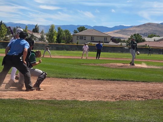 15U Hornets