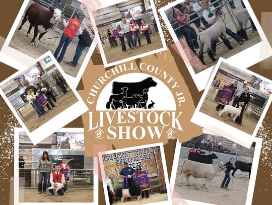 85th Annual Jr. Livestock Show & Sale This Weekend