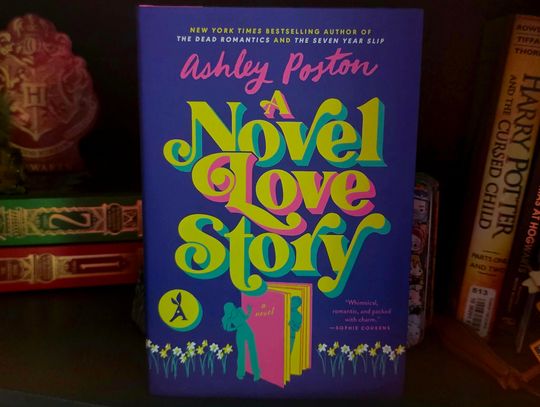 Allison's Book Report