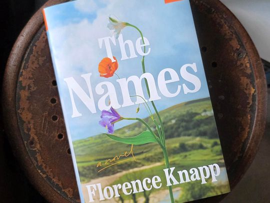 Allison's Book Report