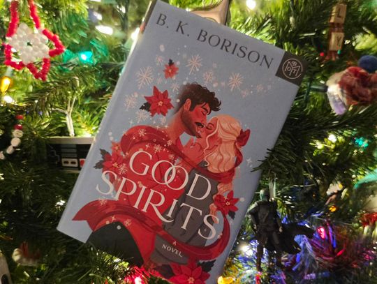 Allison’s Book Report:“Good Spirits ” By B.K. Borison