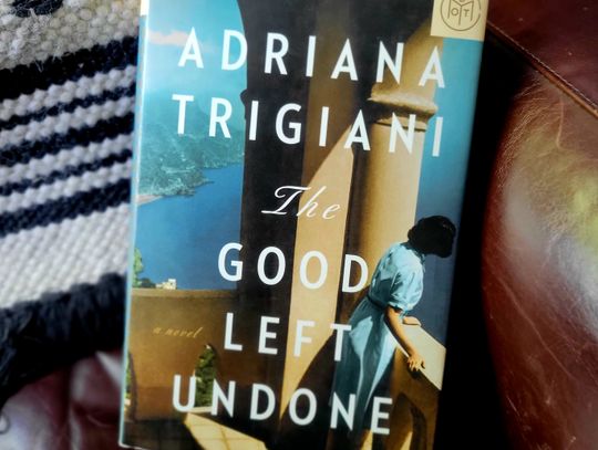 Allison’s Book Report - “The Good Left Undone” by Adriana Trigiani