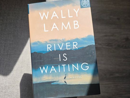 Allison's Book Report: “The River Is Waiting” by Wally Lamb