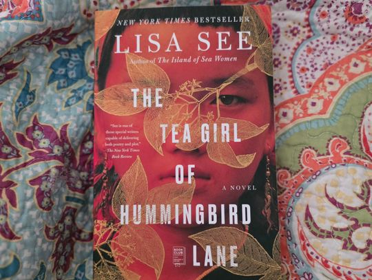 Allison’s Book Report: “The Tea Girl of Hummingbird Lane” by Lisa See