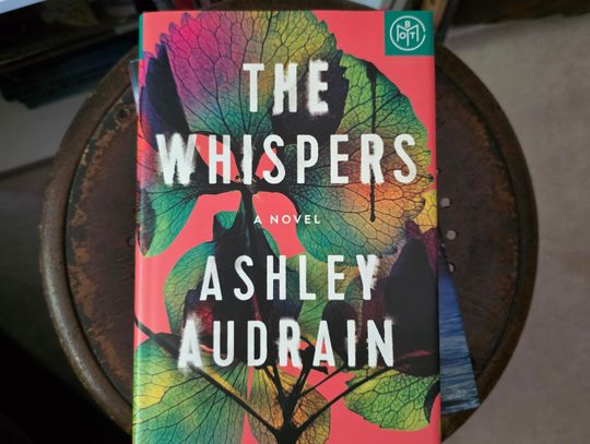 Allison’s Book Report  “The Whispers” by Ashley Audrain