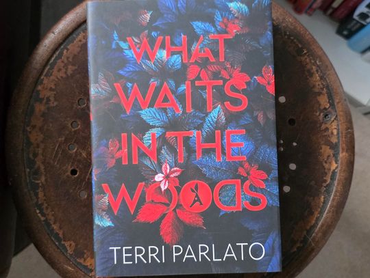 Allison's Book Report: "What Waits in the Woods," written by Terri Parlato Allison's Book Report: "What Waits in the Woods," written by Terri Parlato