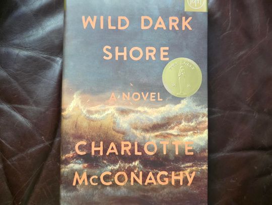 Allison’s Book Report: “Wild Dark Shore” by Charlotte McConaghy