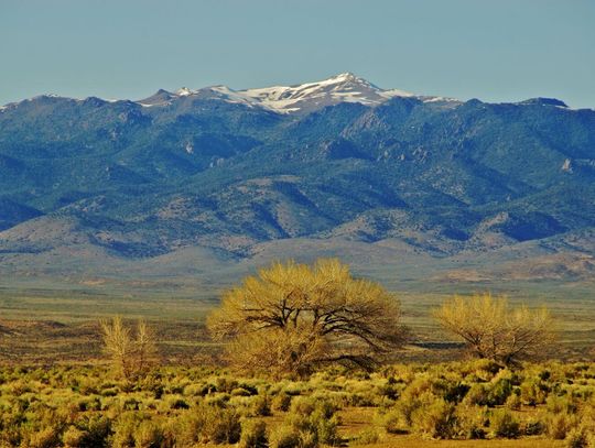 Annual Cattlemen’s Update Looks Ahead to 2026