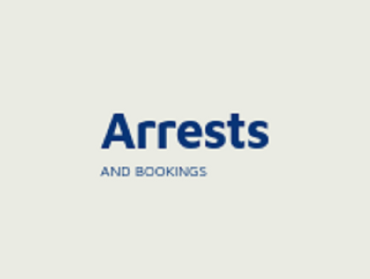 Arrests and Bookings April 13th to 19th