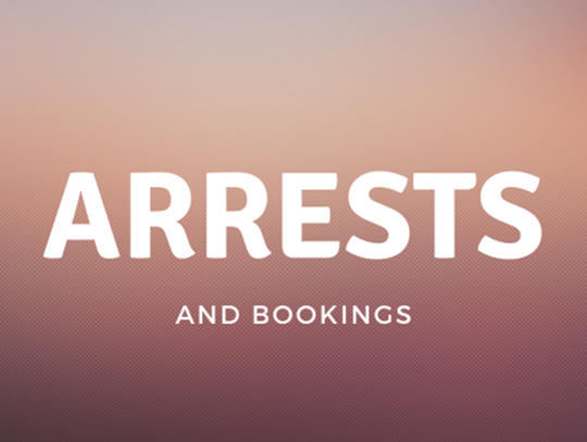 Arrests and Bookings February 17 through 23, 2024