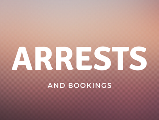 Arrests and Bookings Report – December 22 – 28 Arrests and Bookings Report – December 22 – 28