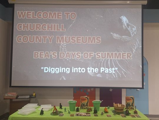 Bea’s Days of Summer Slots Available