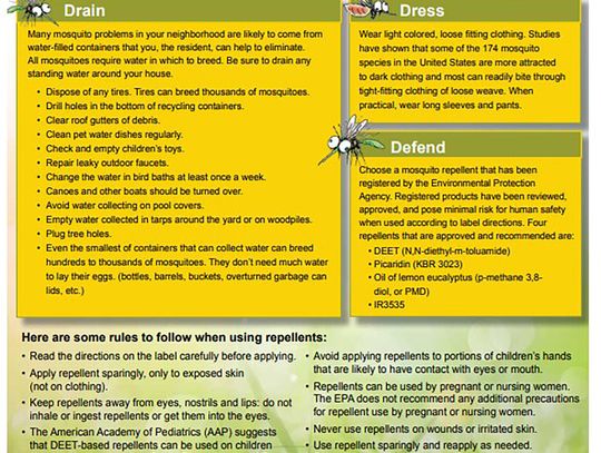 Behind the Buzz: How the Mosquito Abatement Team Keeps the Swarm Away