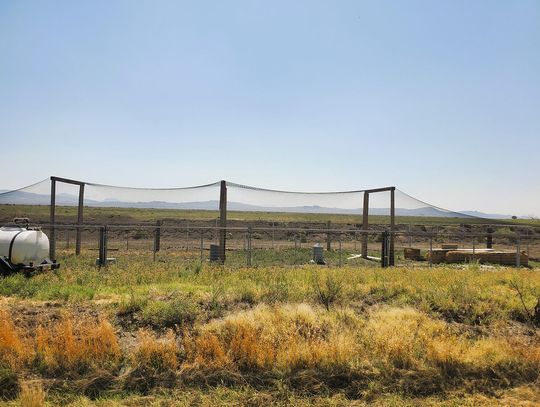 Bird Dog Club Debuts New Grounds with Fall Championship