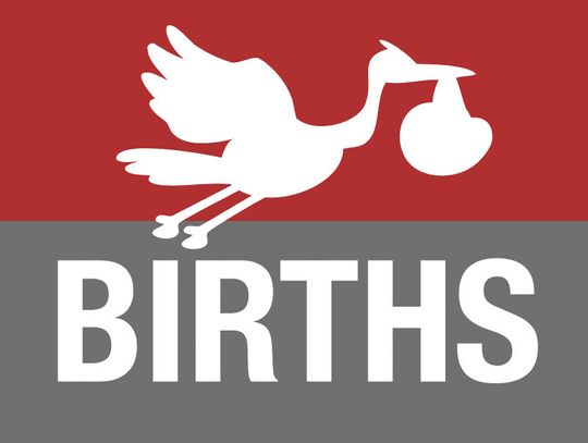 Births from December 2020