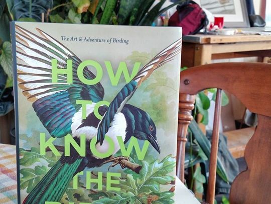 Book Review -- How to Know the Birds