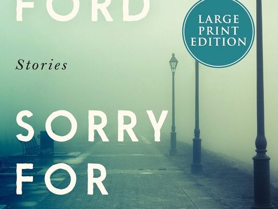 Book Review --- Sorry for Your Trouble