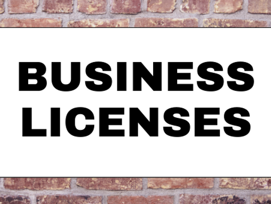 Business Licenses August 2025