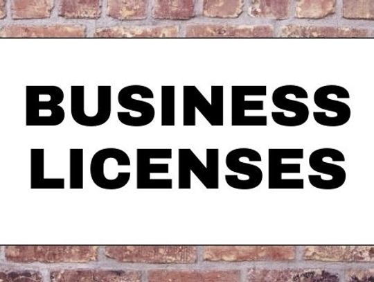 Business Licenses - March 2021