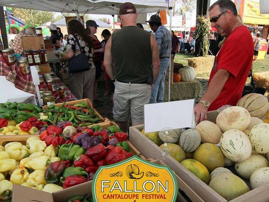 Cantaloupers Get Ready – It’s Almost Festival Time