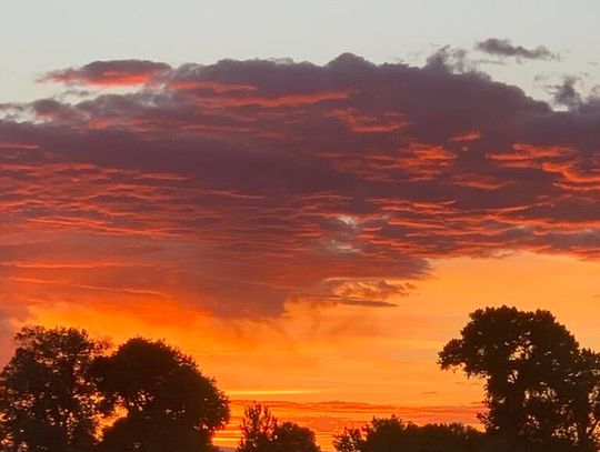 Captain’s Log: Growth Spurt