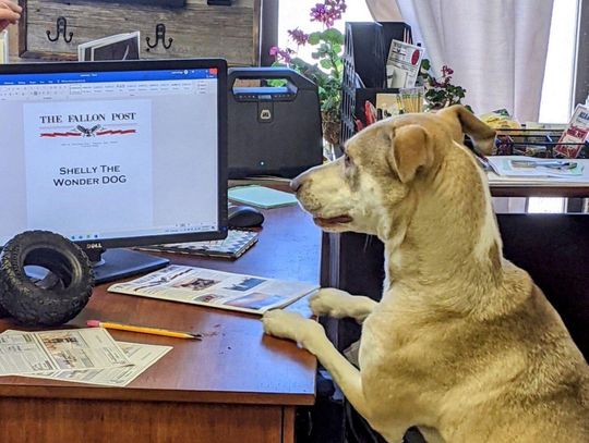 Captain’s Log – We Love Birthdays