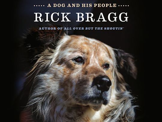 Carol Recommends -- The Speckled Beauty: A Dog and His People by Rick Bragg 