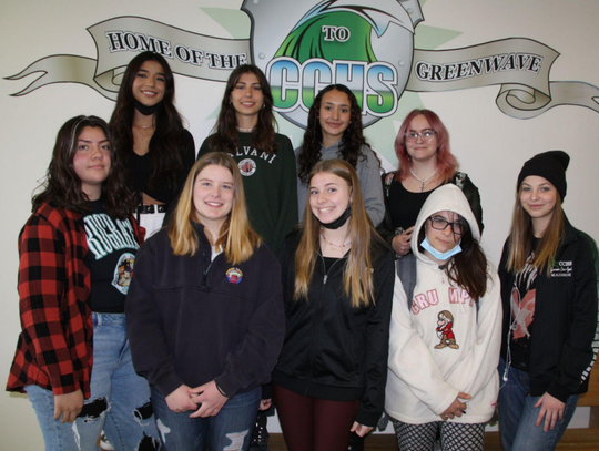 CCHS Art Students Chosen for Celebrating Art Anthology 
