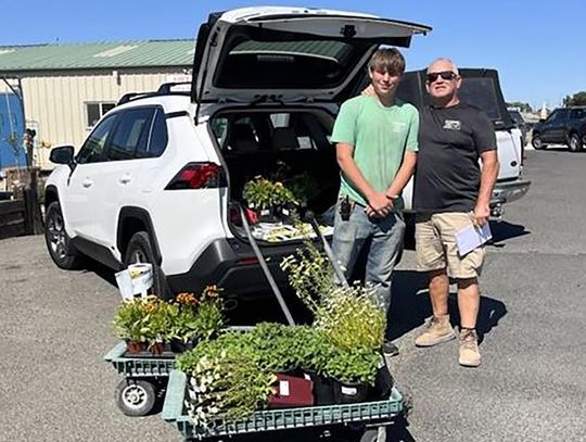 CCHS Intern Spotlight - J&K Llamas Landscape & Nursery: Growing Students and Community Roots