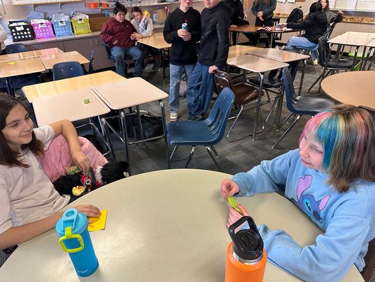 CCSD Cool School News