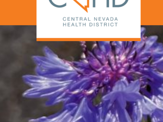 Central Nevada Health District Updates