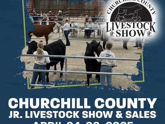 Chores, Cheers, and Champions: Don’t Miss the Livestock Show April 24–26