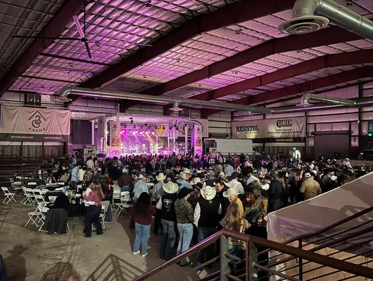 Cowboys, Commerce, and Country Music Rafter 3C Great Basin Bull Sale Keeps the West Alive