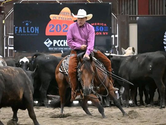 Cutting Horse Competition Draws Nearly 1,800 Entries