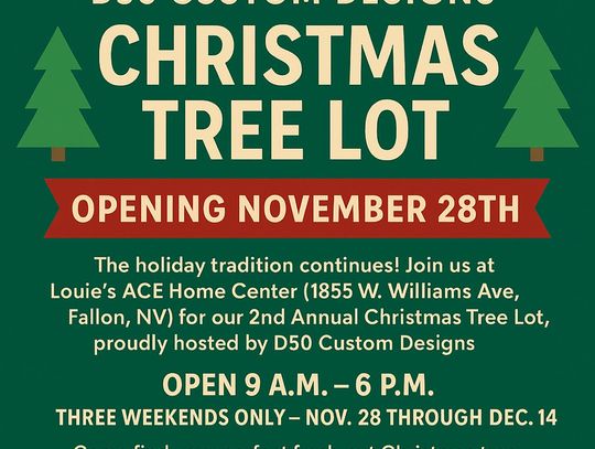 D50 Custom Designs Hosts Annual Christmas Tree Sale to Benefit Local Youth Groups