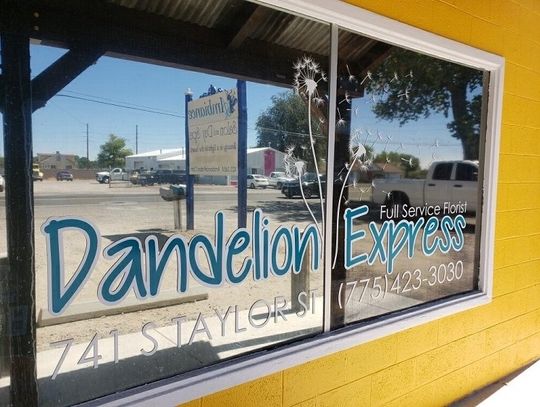 Dandelion Express Blows Many Wishes Out to Fallon