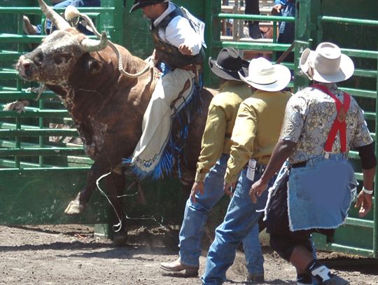 De Golyer Bucking Horse and Bull Bash Returns June 26-28