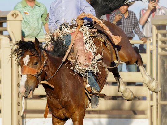 de Golyer Rodeo Offered a Bucking Good Time
