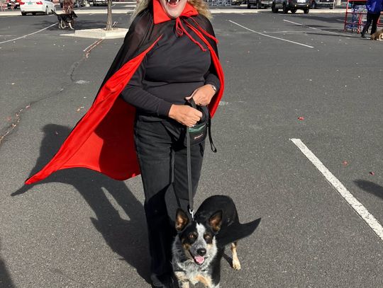 Dogs and Humans Have Halloween Fun Dogs and Humans Have Halloween Fun