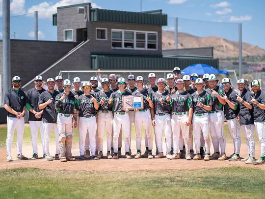 Early Deficits Doom Fallon Baseball in State Tournament