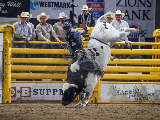 Faith and Focus Prepare Top Ranking Bull Rider TJ Gray for His First NFR