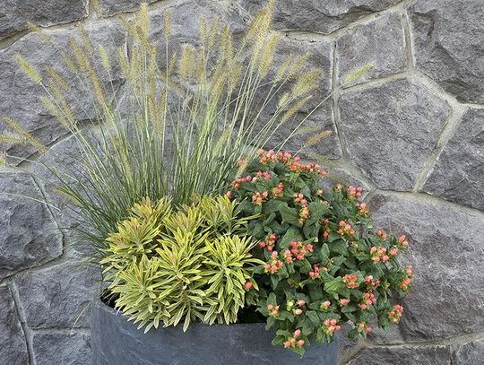 Fall Gardening with The Village