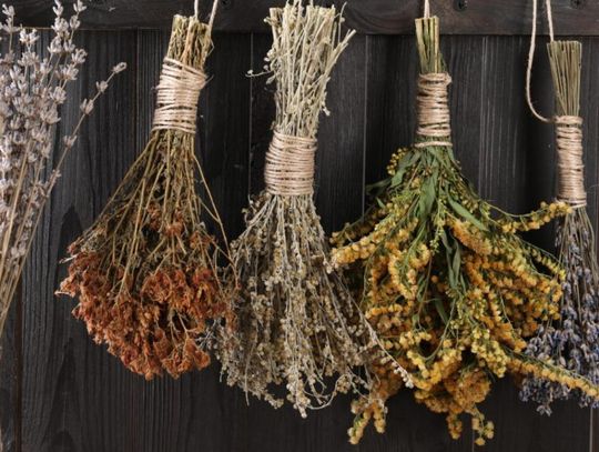 Fall Planting with The Village Nursery