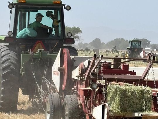 Fallon Farmer Modernizes Family Hay Ranch