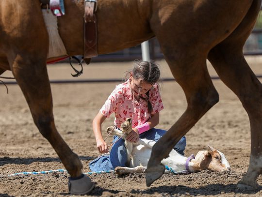 Fallon Junior Rodeo Fun