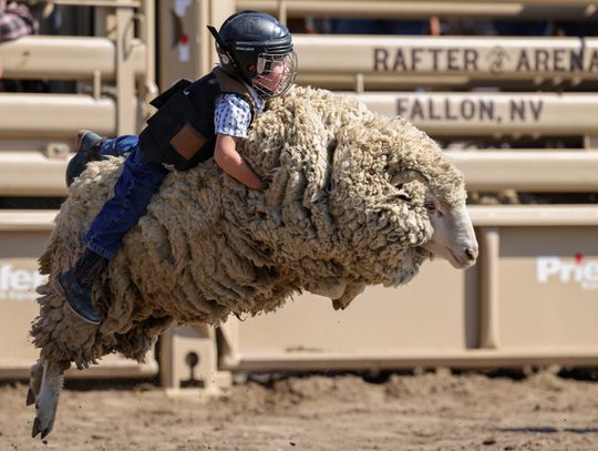 Fallon Junior Rodeo Returns Labor Day Weekend