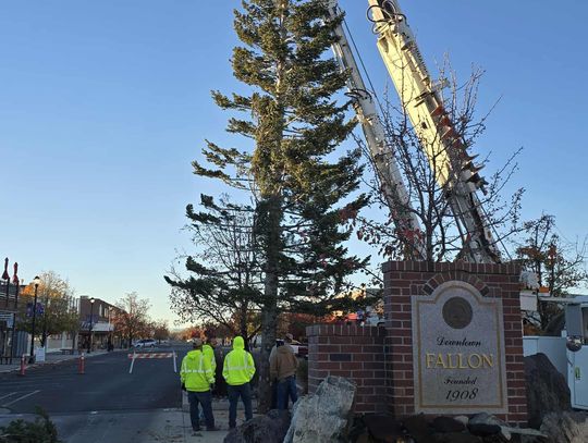 Fallon’s Christmas Tree is Up and Ready to Shine