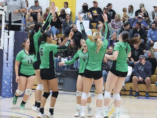 Fallon volleyball clinches playoff spot with two wins