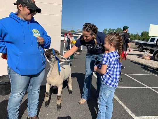 Farm Day at Northside