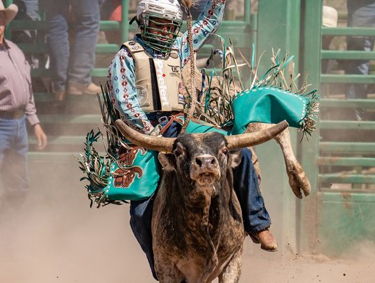 Festival Showcases New Event: Junior Roughstock Challenge